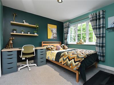Picture 27